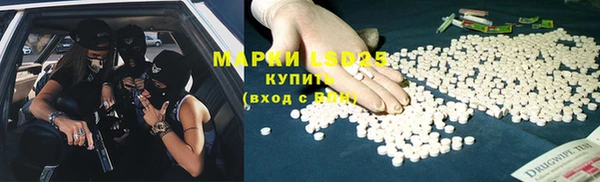 амф Кострома