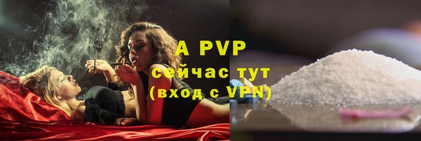 молекула духа Горно-Алтайск