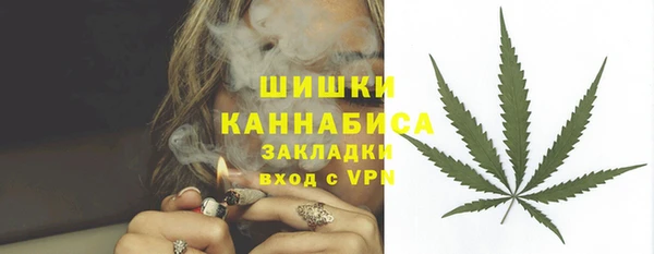 молекула духа Горно-Алтайск