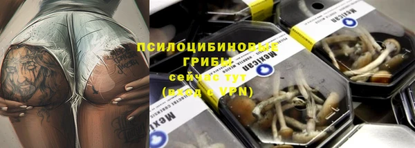 ПСИЛОЦИБИНОВЫЕ ГРИБЫ Горнозаводск